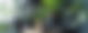 Smartspeaker