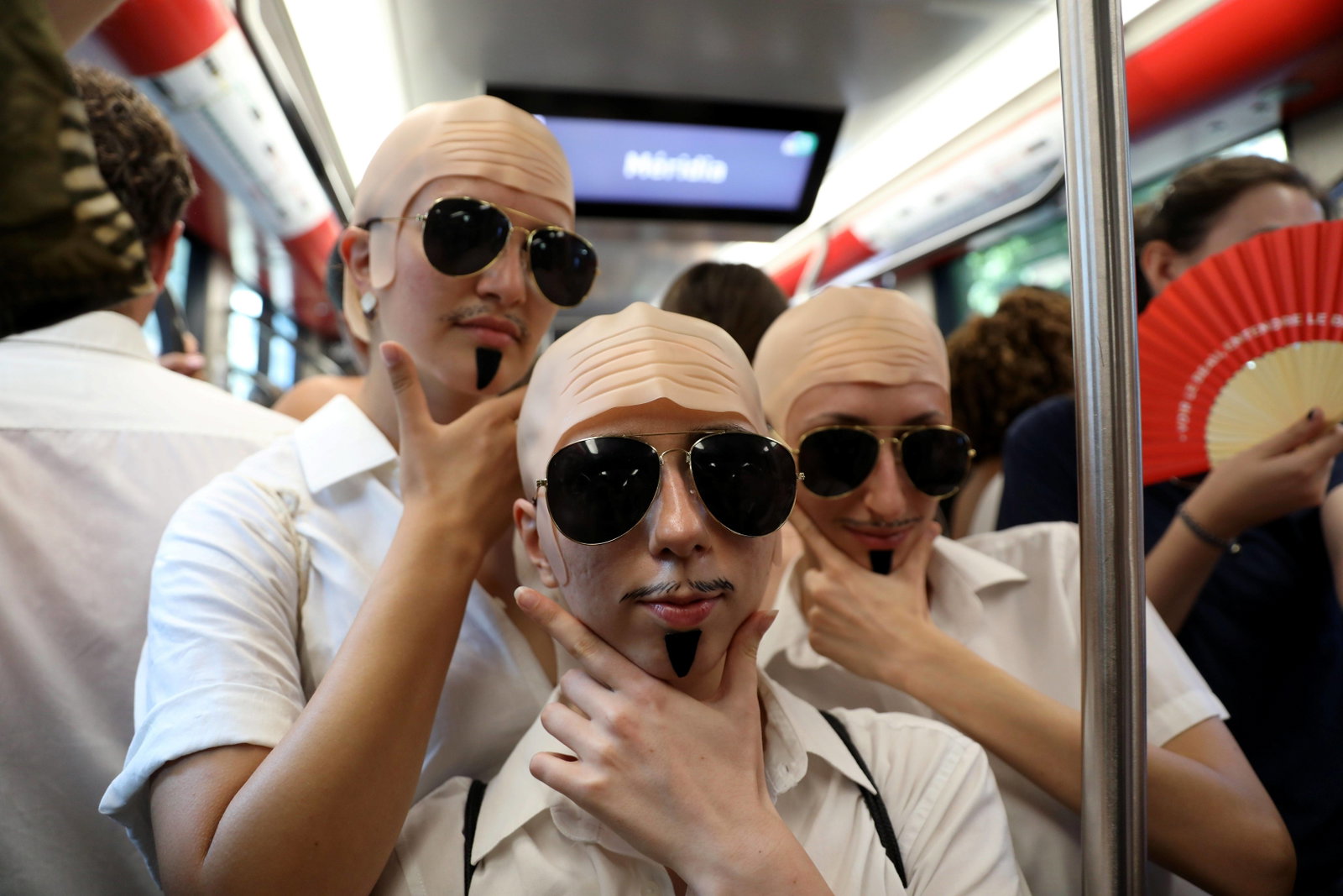 Pitbull glatze 