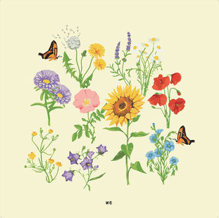 Bildschirmfoto 2019 01 17 um 13.05.42